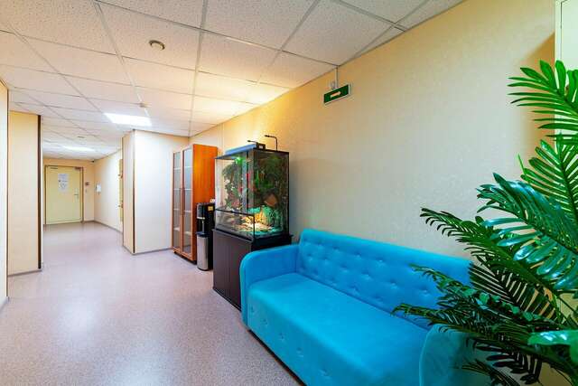 Гостиница Подушка Санкт-Петербург-112