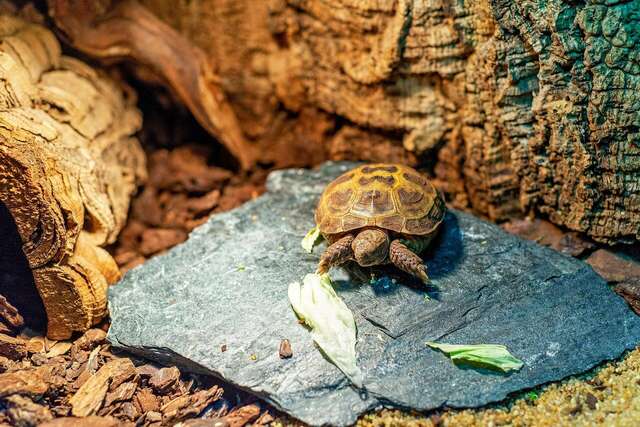 Гостиница Подушка Санкт-Петербург-13