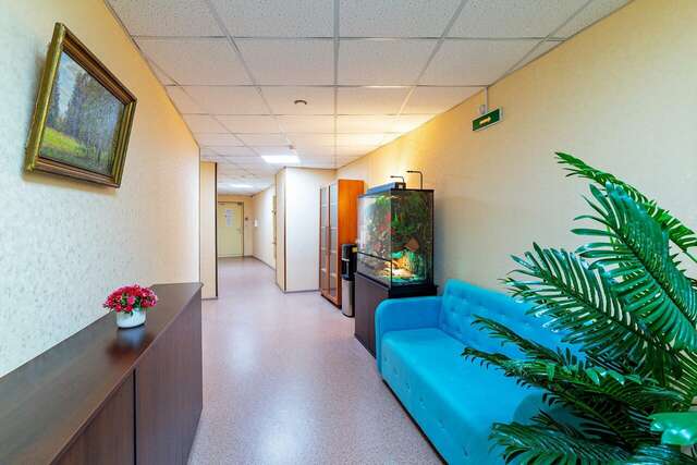 Гостиница Подушка Санкт-Петербург-64