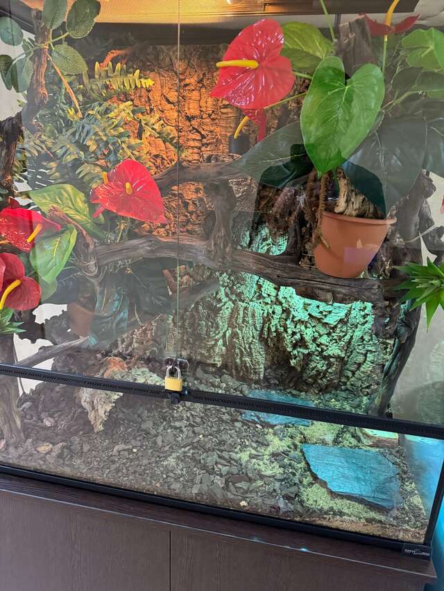 Гостиница Подушка Санкт-Петербург-159