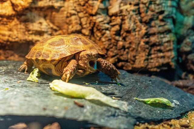Гостиница Подушка Санкт-Петербург-84