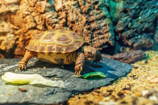 Гостиница Подушка Санкт-Петербург-45